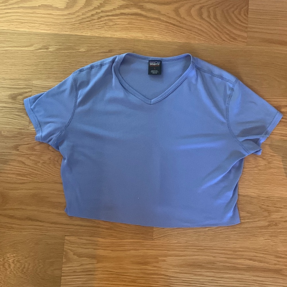 blue patagonia t shirt